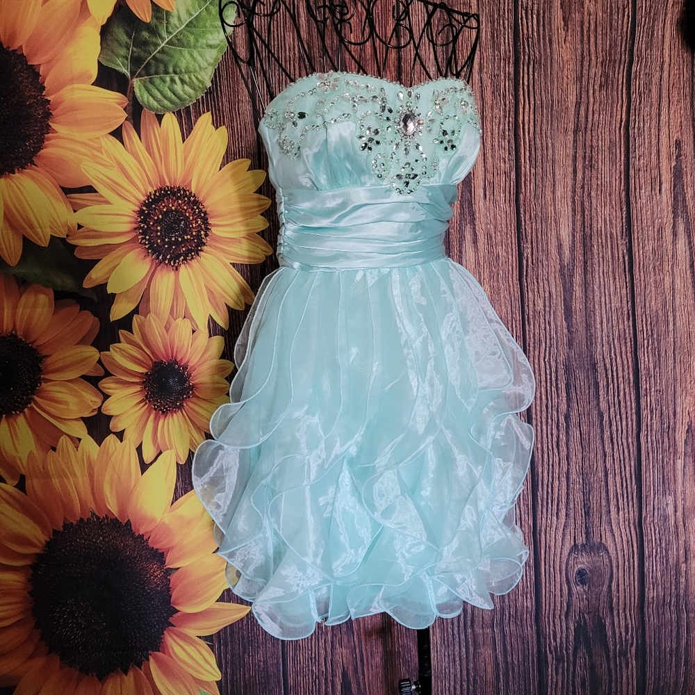 Windsor Strapless Formal Dress
